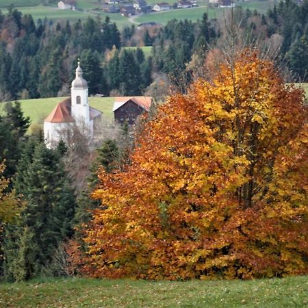 Ferien In Feld 109 Lägenhet Langenegg Exteriör bild