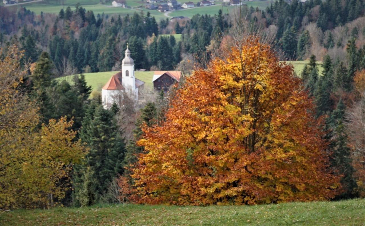 Ferien In Feld 109 Lägenhet Langenegg Exteriör bild