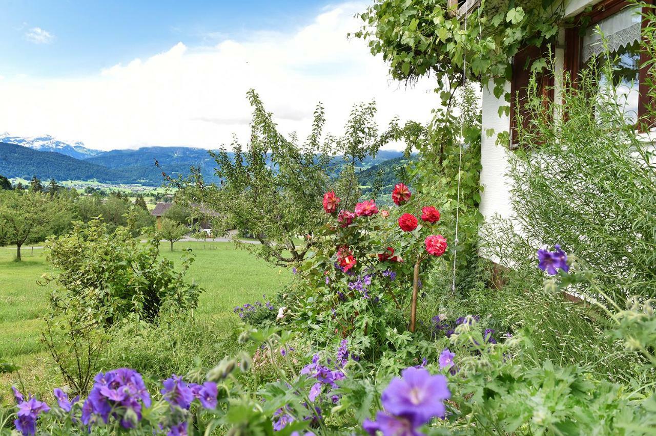 Ferien In Feld 109 Lägenhet Langenegg Exteriör bild