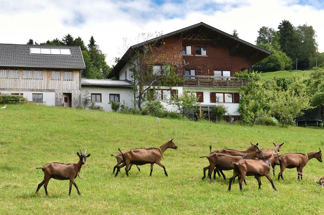Ferien In Feld 109 Lägenhet Langenegg Exteriör bild