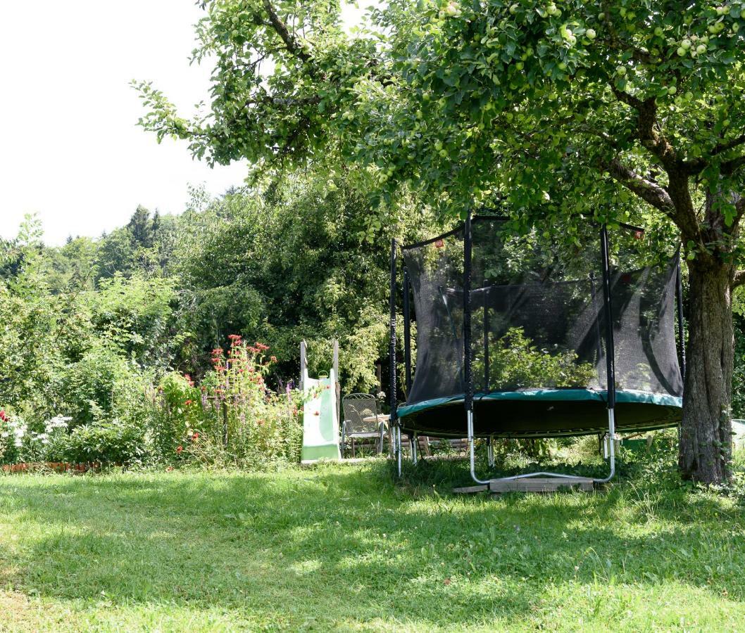 Ferien In Feld 109 Lägenhet Langenegg Exteriör bild