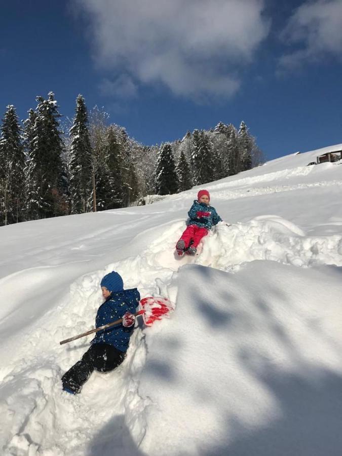 Ferien In Feld 109 Lägenhet Langenegg Exteriör bild